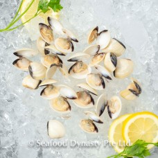 White clam 1kg 